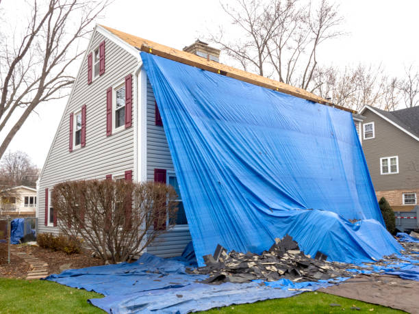 Best Basement Cleanout  in Shinnston, WV